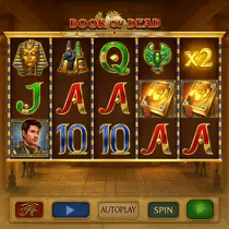 LunuBet - Book of Dead Slot Game - Play'n GO Pokie